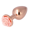 N. 28 PLUG ANALE IN METALLO TAGLIA M